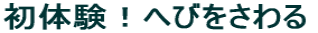 ���̌��I�ւт������