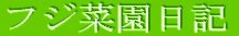 �t�W�؉����L 